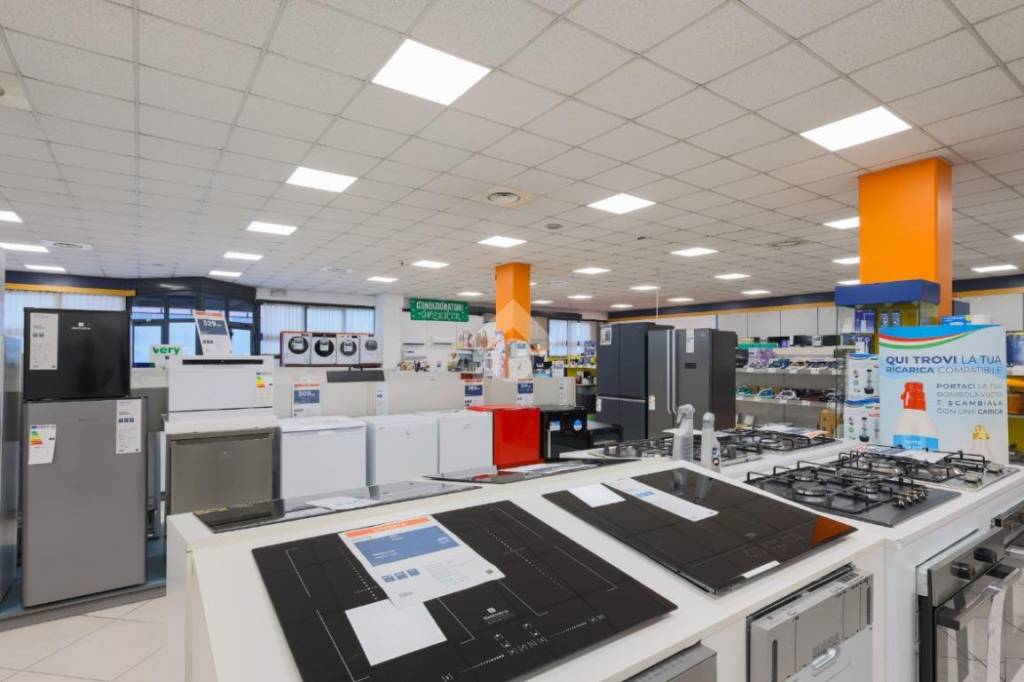 immagine annuncio 10 di 15