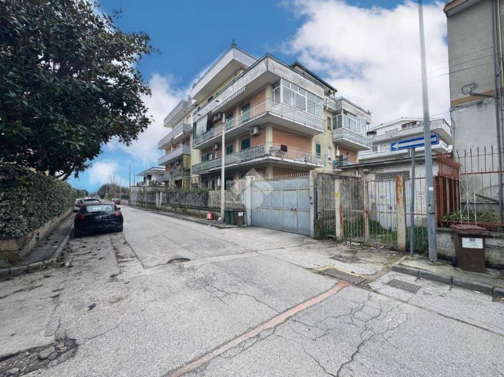 immagine annuncio 11 di 12