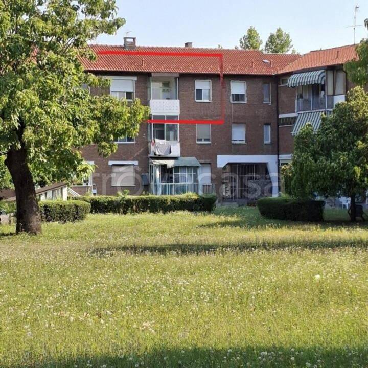 immagine annuncio 1 di 15