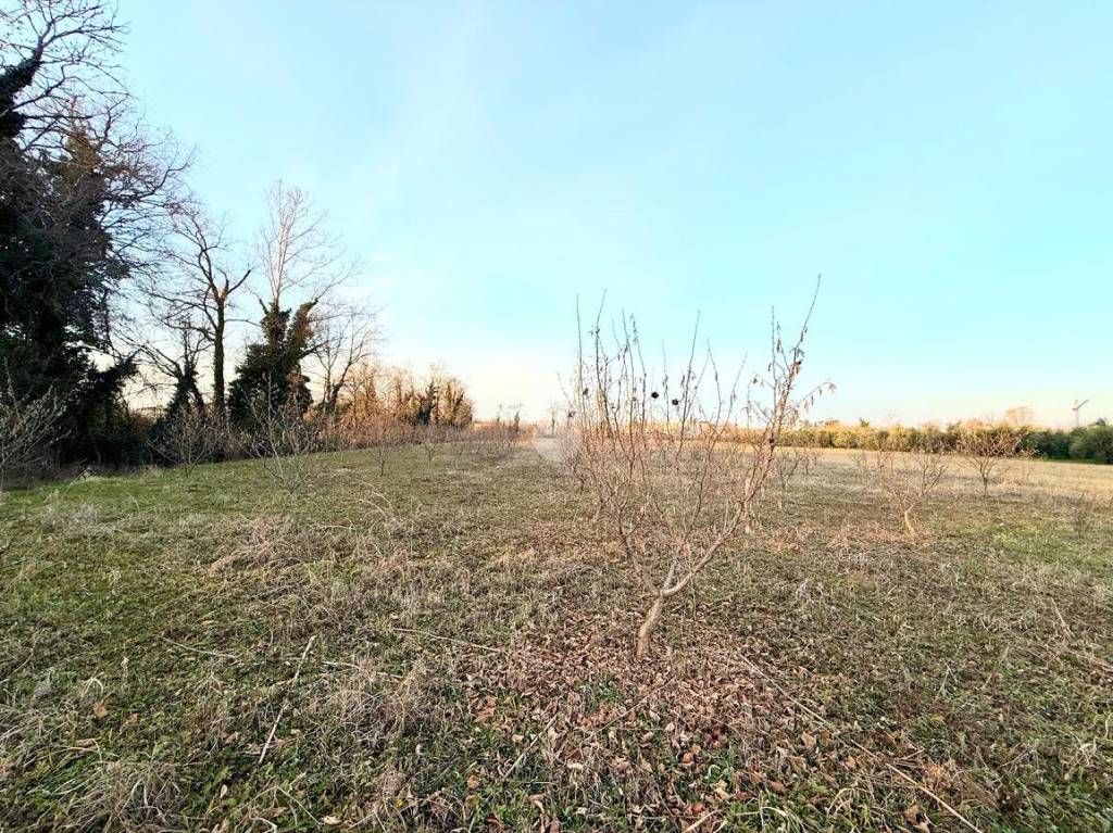 immagine annuncio 4 di 12