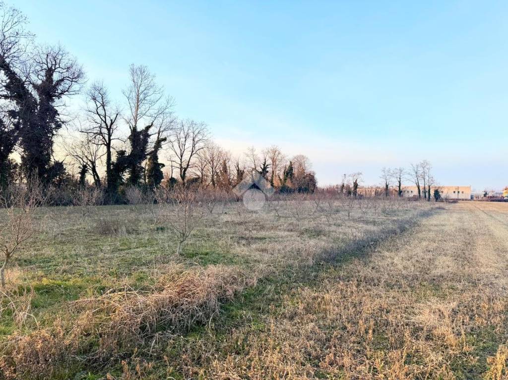 immagine annuncio 7 di 12