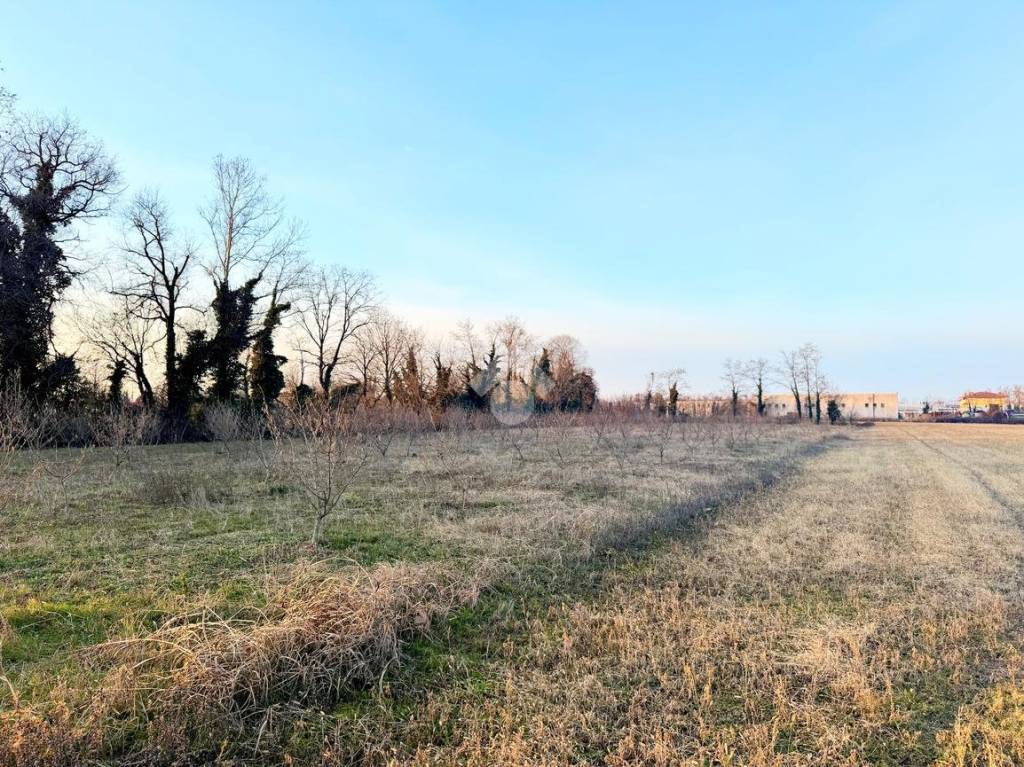 immagine annuncio 10 di 12