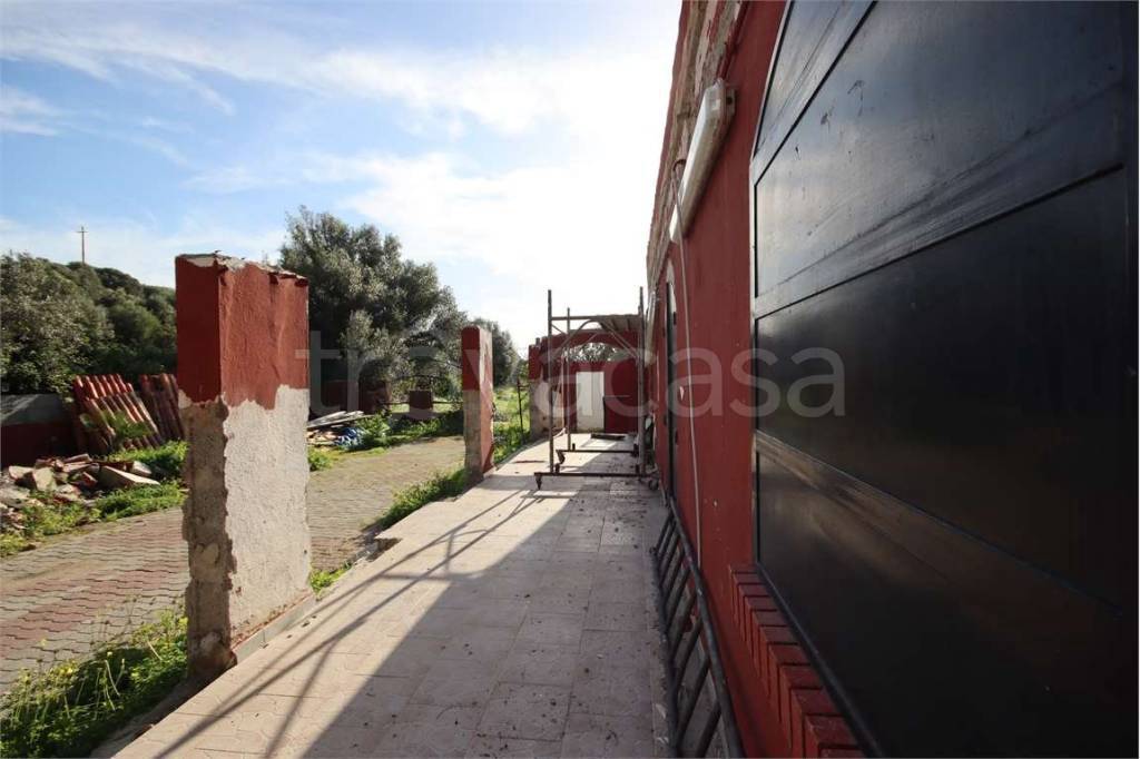 immagine annuncio 6 di 12