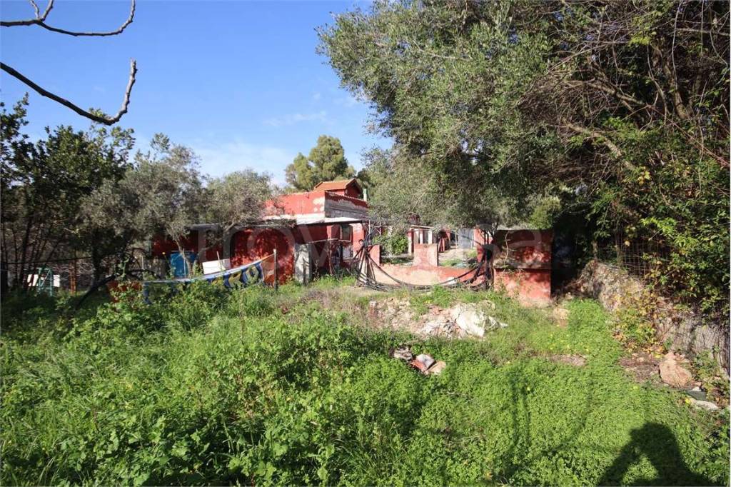 immagine annuncio 9 di 12