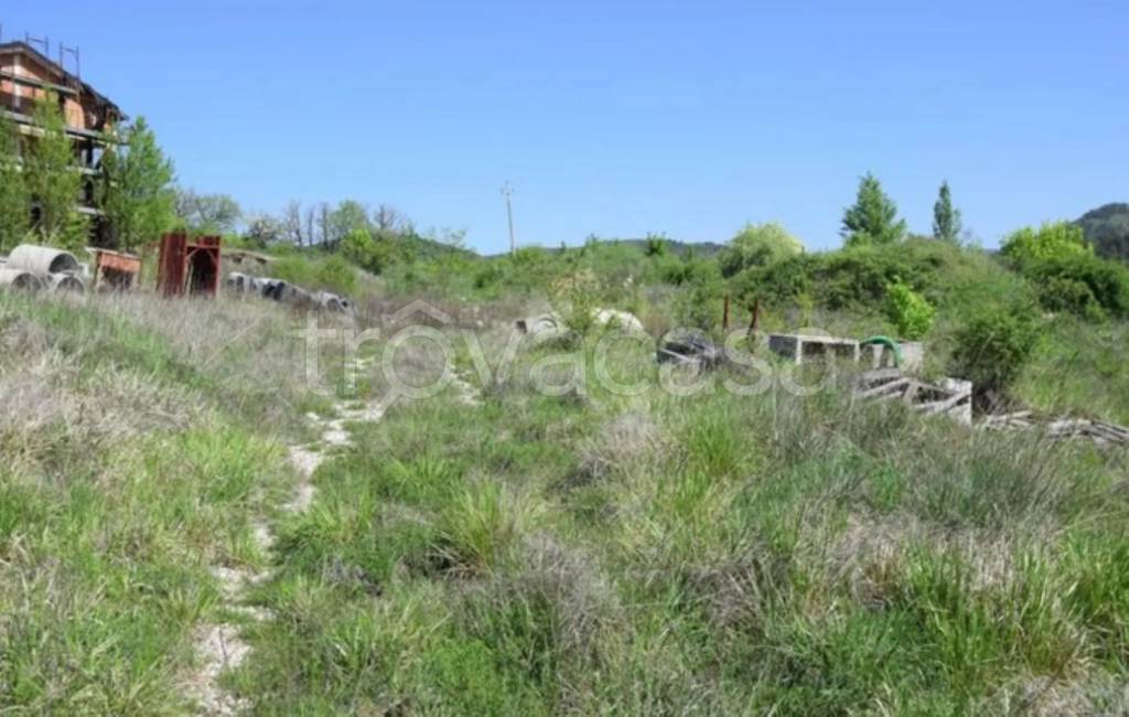 immagine annuncio 2 di 14