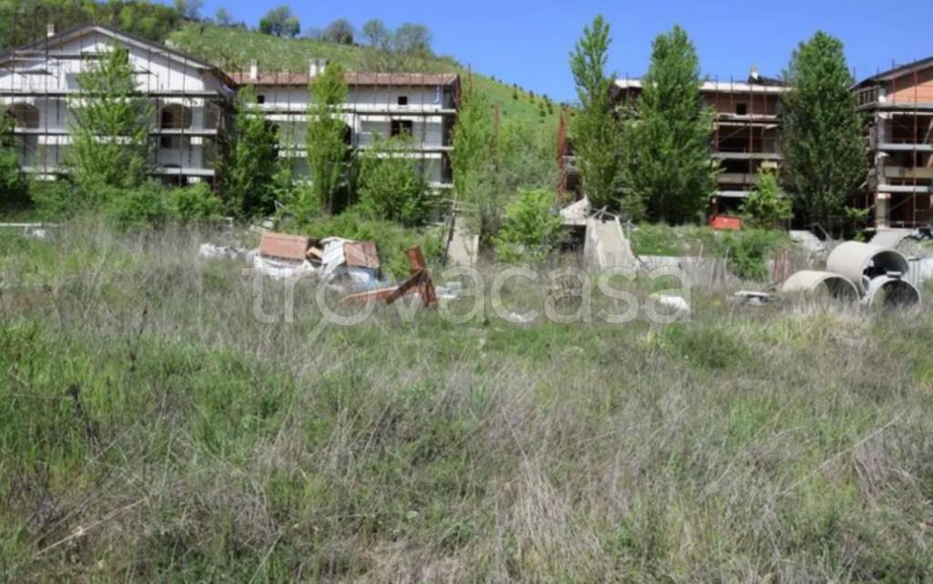 immagine annuncio 5 di 14