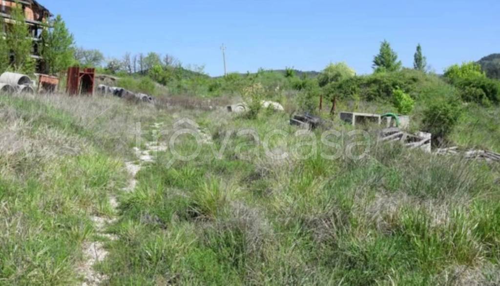 immagine annuncio 7 di 14