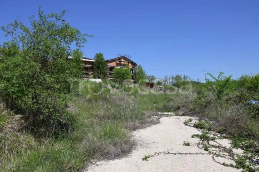 immagine annuncio 10 di 14