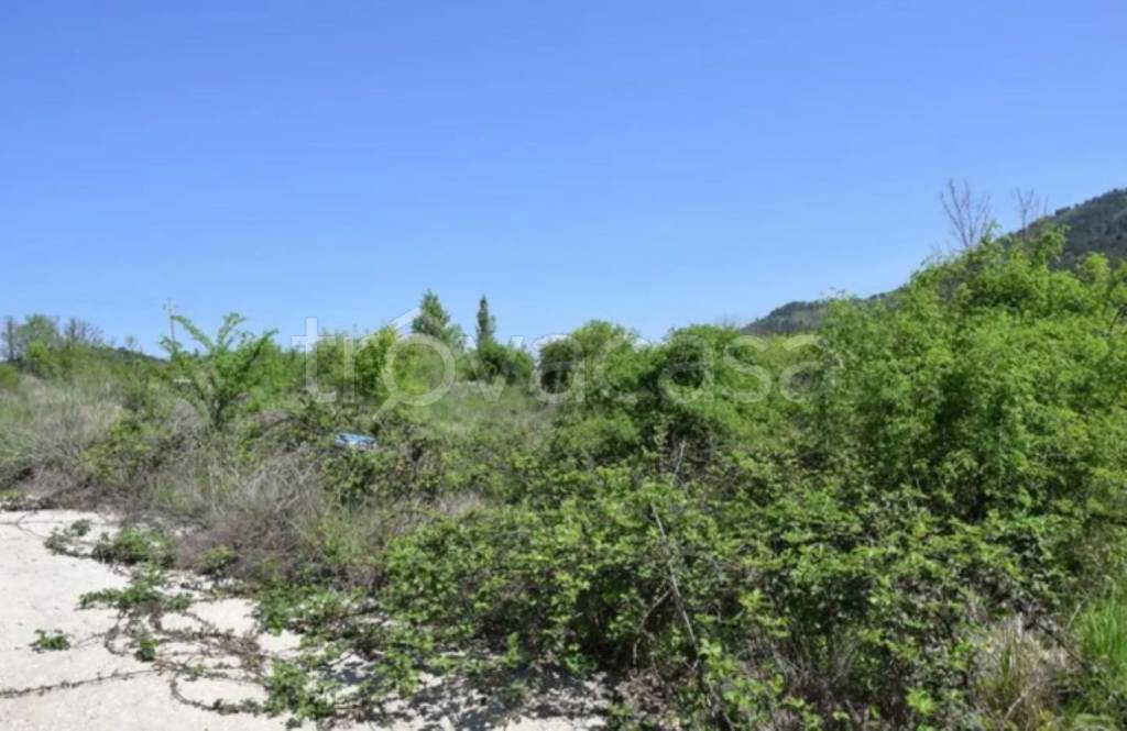 immagine annuncio 11 di 14