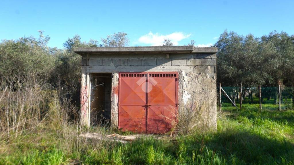 immagine annuncio 14 di 15