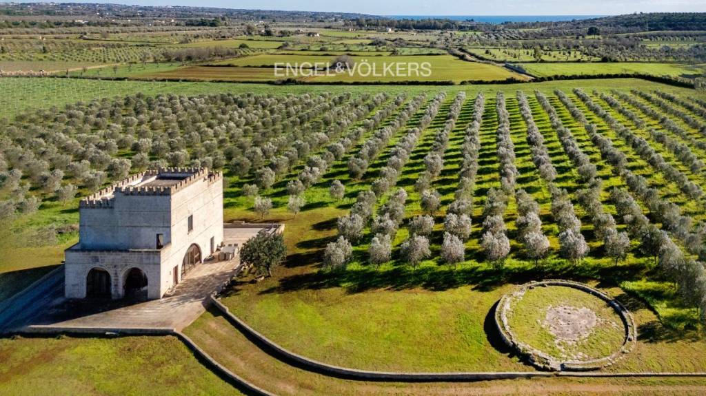 immagine annuncio 1 di 12