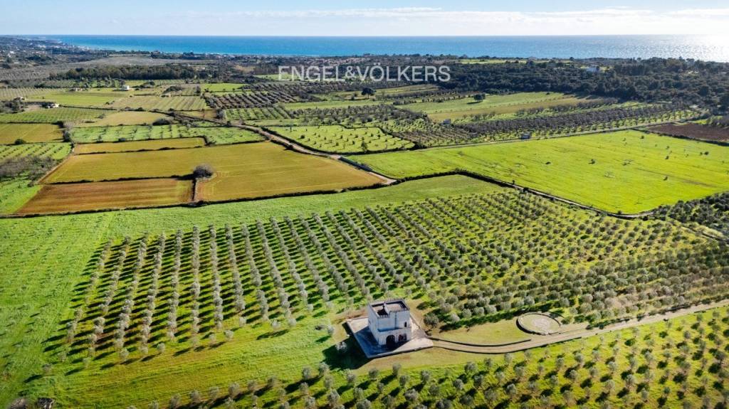 immagine annuncio 11 di 12