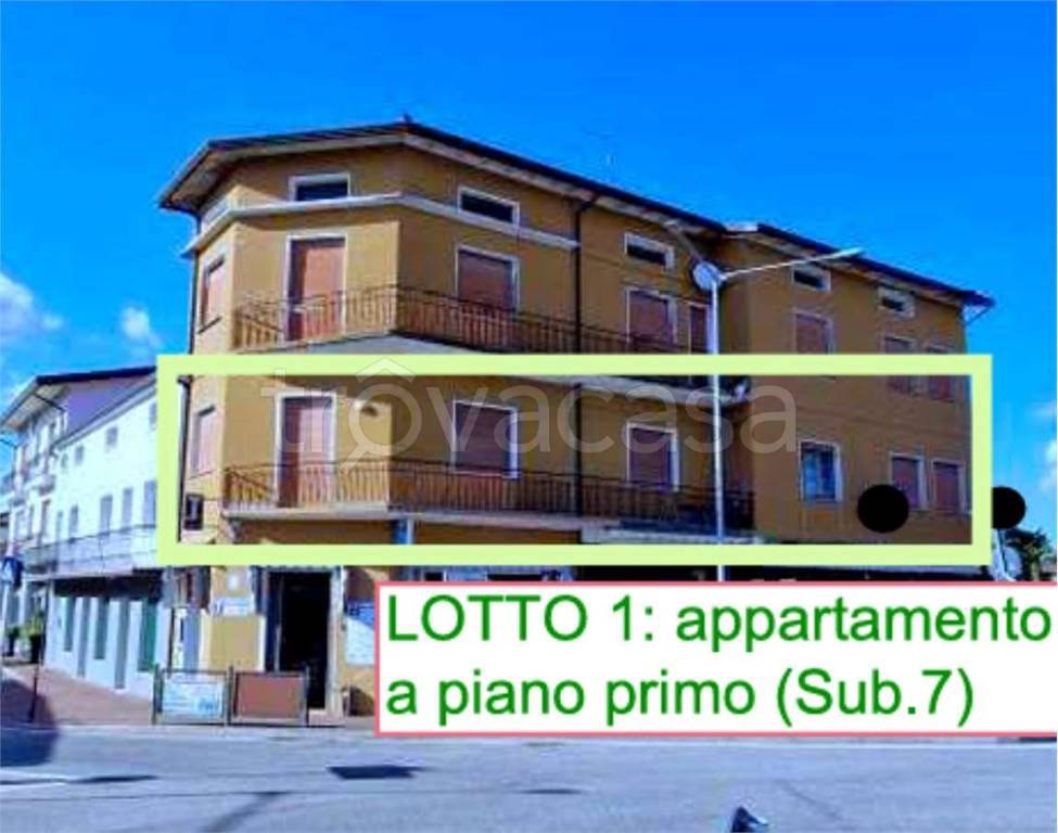 immagine annuncio 6 di 14