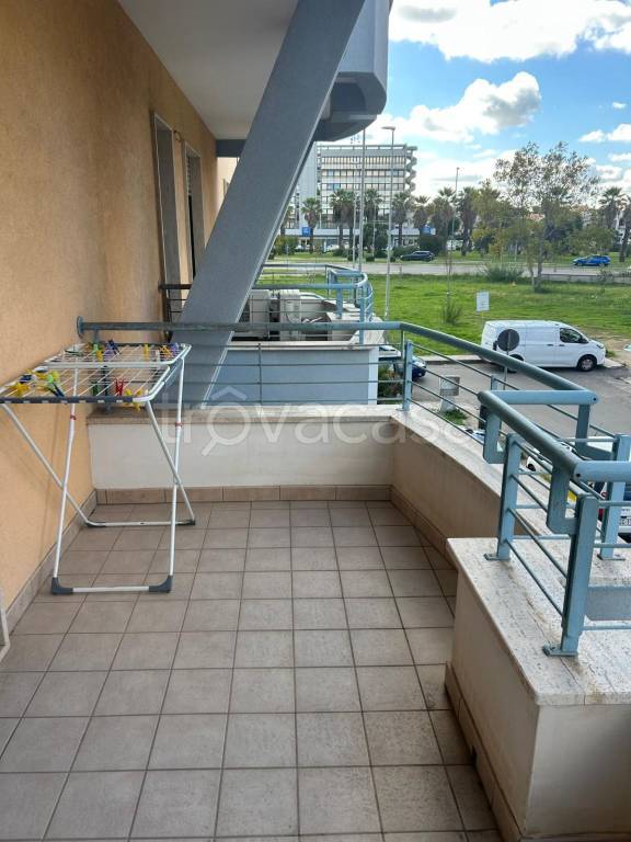 immagine annuncio 9 di 12