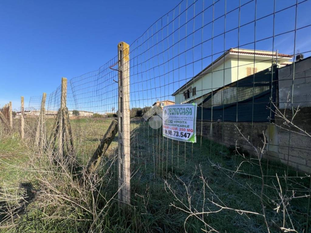 immagine annuncio 6 di 10