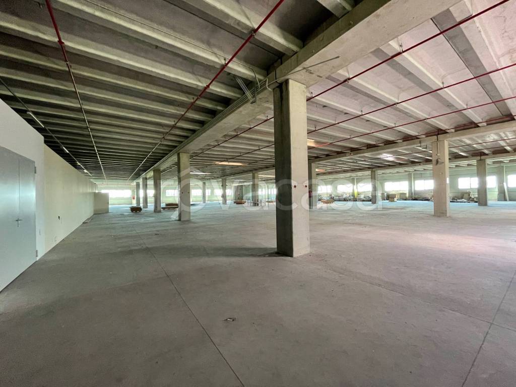 immagine annuncio 6 di 8