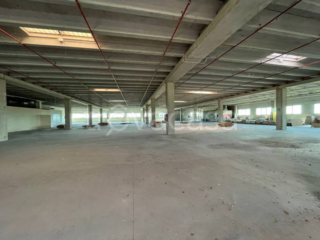 immagine annuncio 7 di 8