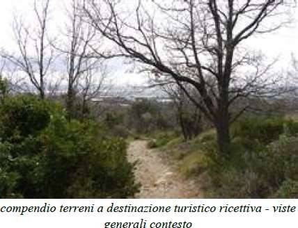 immagine annuncio 4 di 6