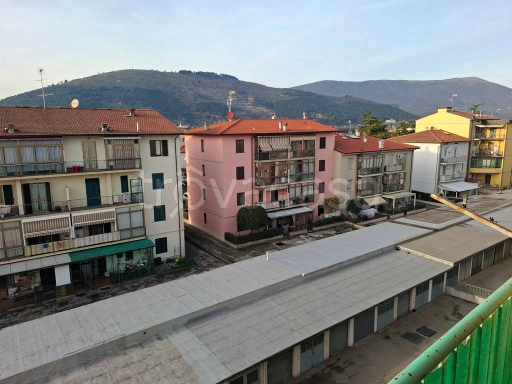 immagine annuncio 13 di 14