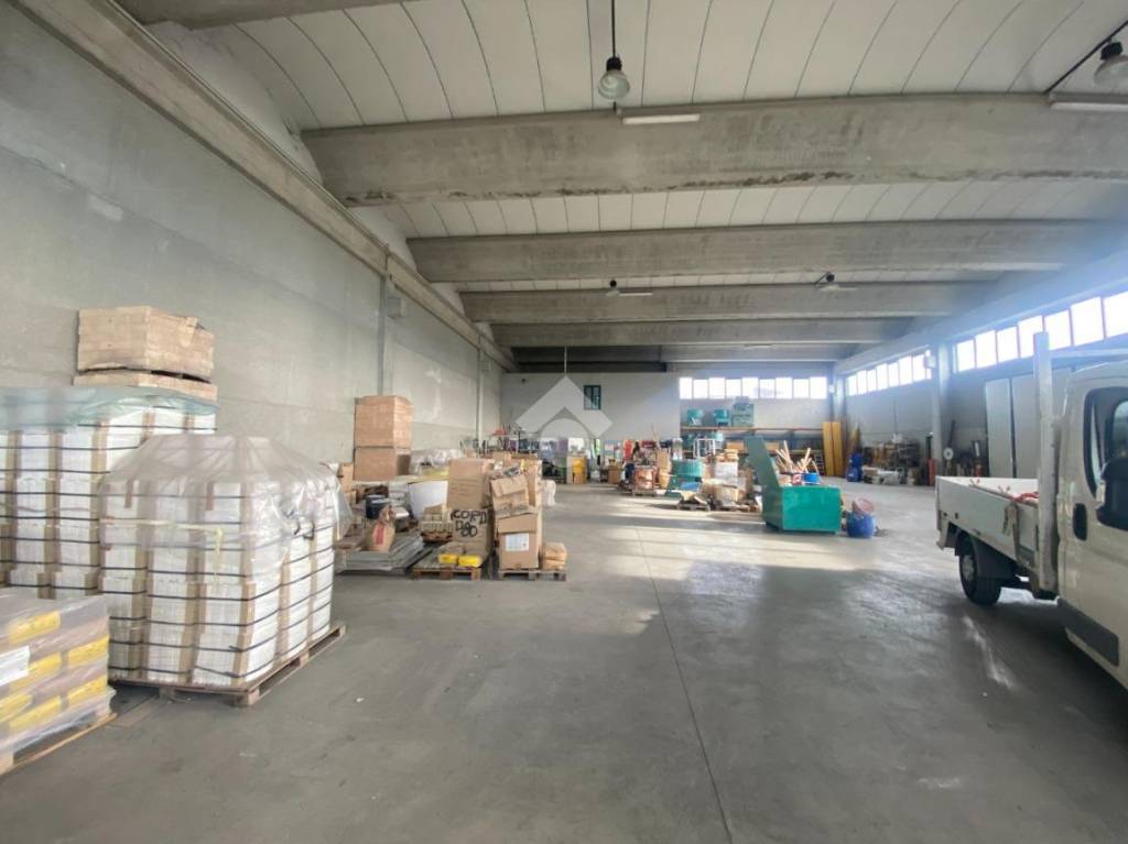 immagine annuncio 5 di 15