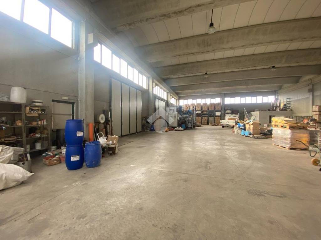 immagine annuncio 13 di 15