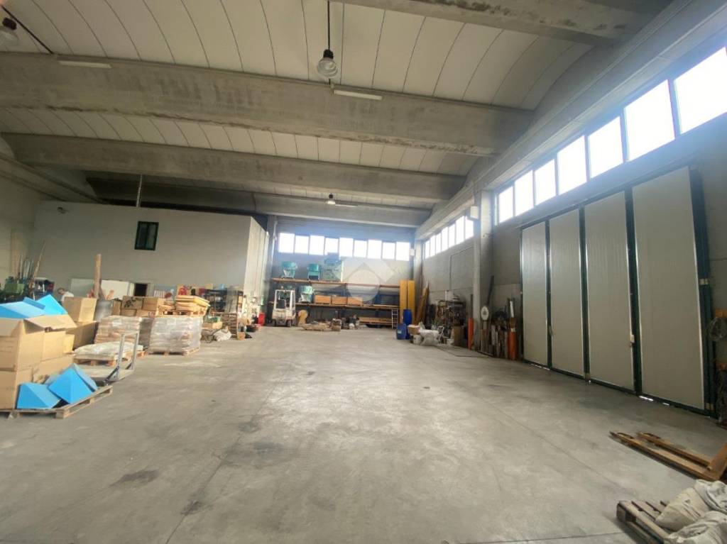 immagine annuncio 7 di 15