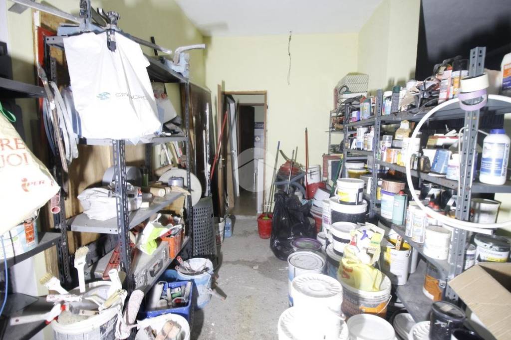 immagine annuncio 6 di 12