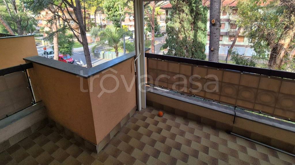 immagine annuncio 2 di 12