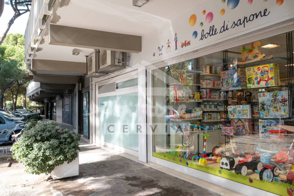 immagine annuncio 4 di 7