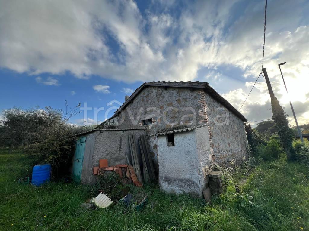 immagine annuncio 4 di 9