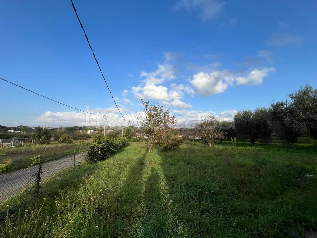 immagine annuncio 6 di 9