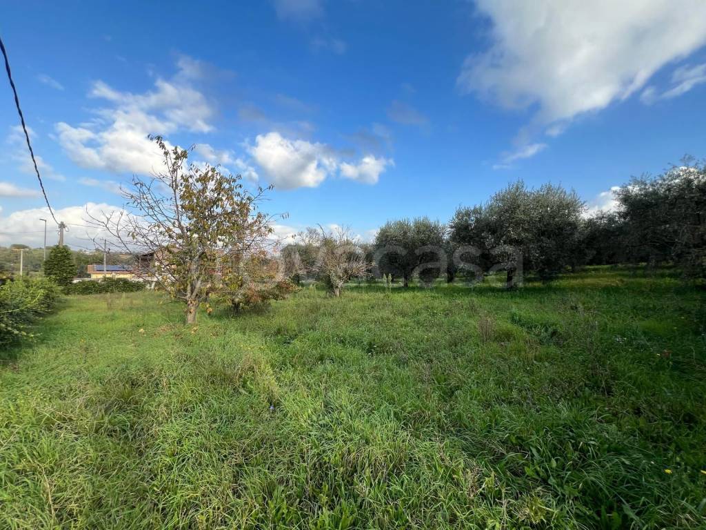 immagine annuncio 7 di 9