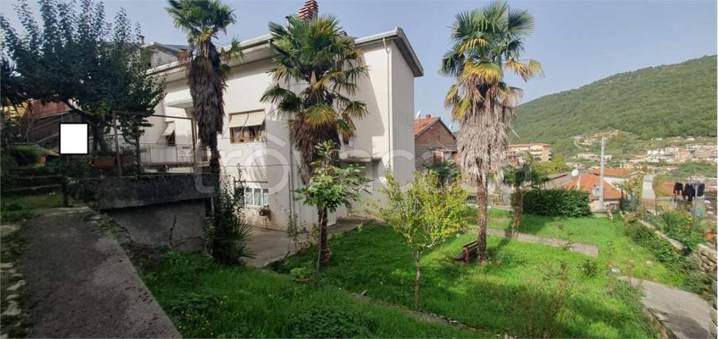 immagine annuncio 6 di 8