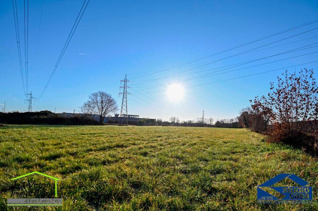 immagine annuncio 10 di 15