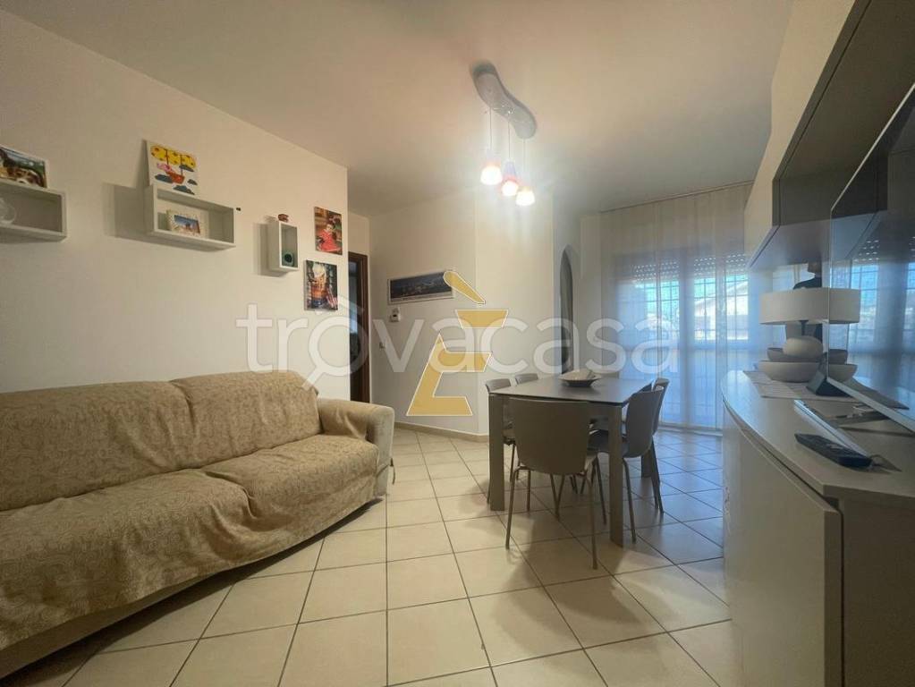 immagine annuncio 2 di 12