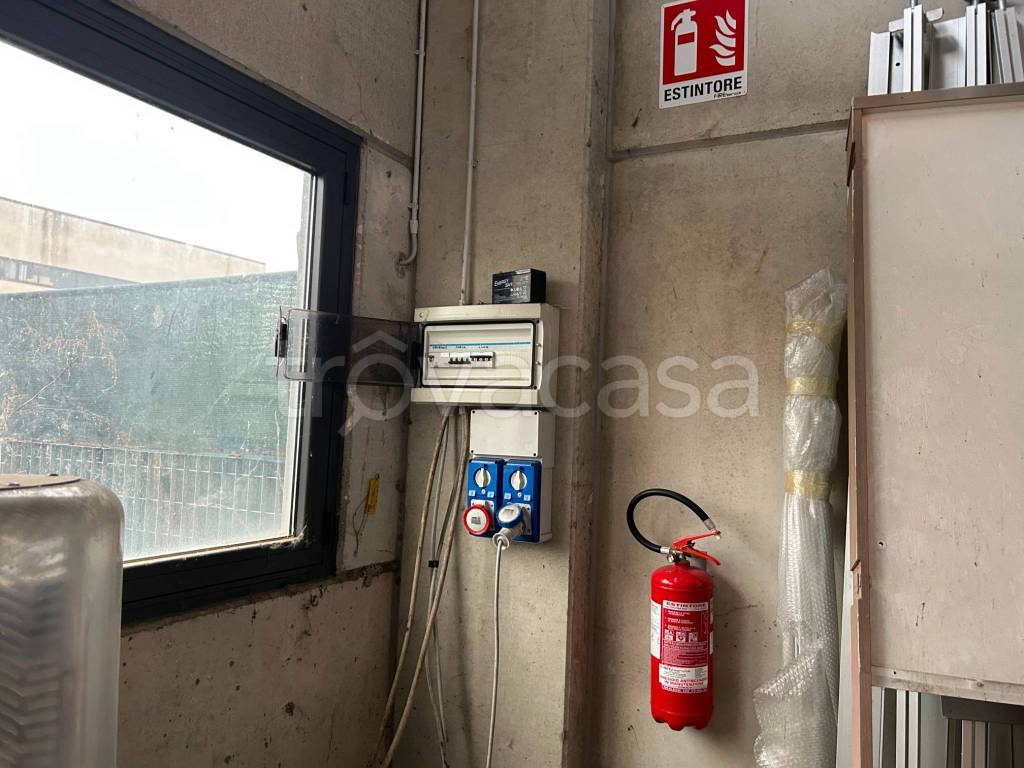 immagine annuncio 4 di 12