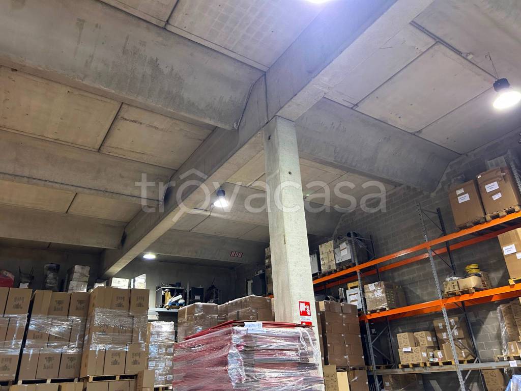 immagine annuncio 5 di 12