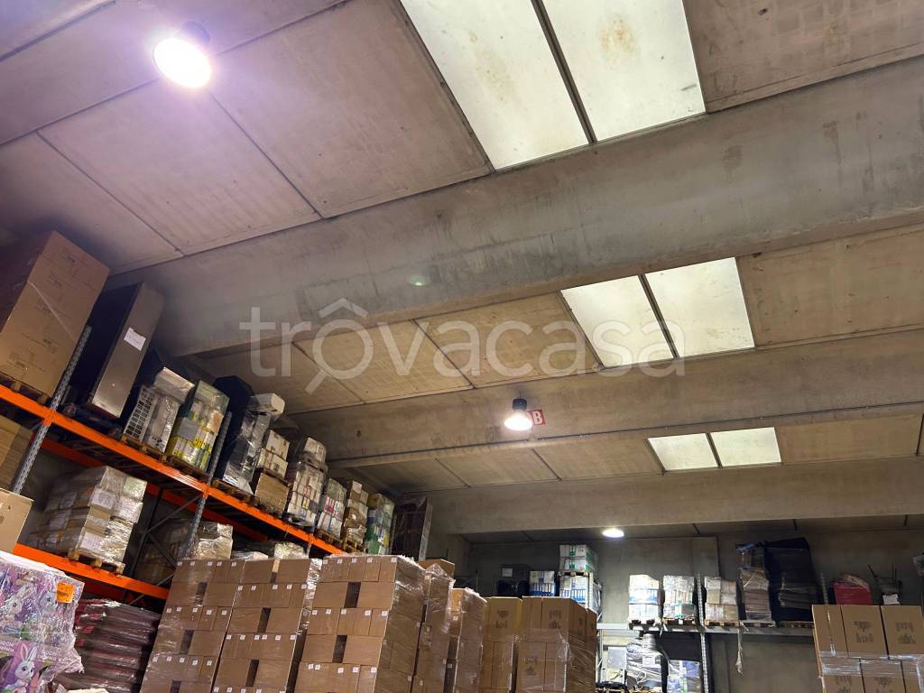 immagine annuncio 6 di 12