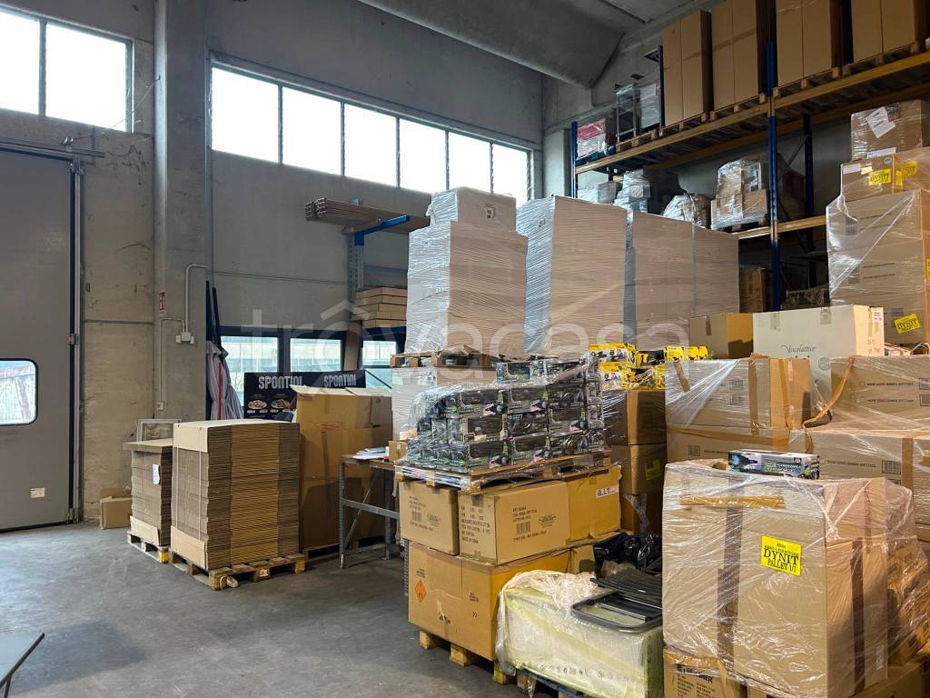 immagine annuncio 7 di 12