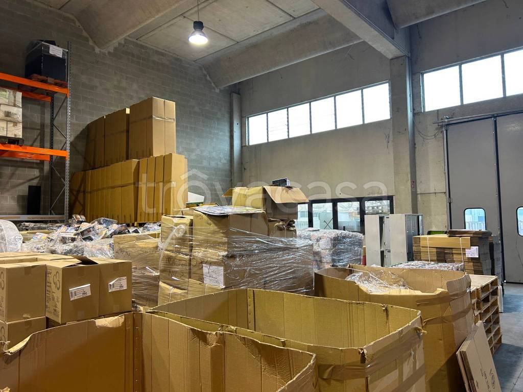 immagine annuncio 8 di 12