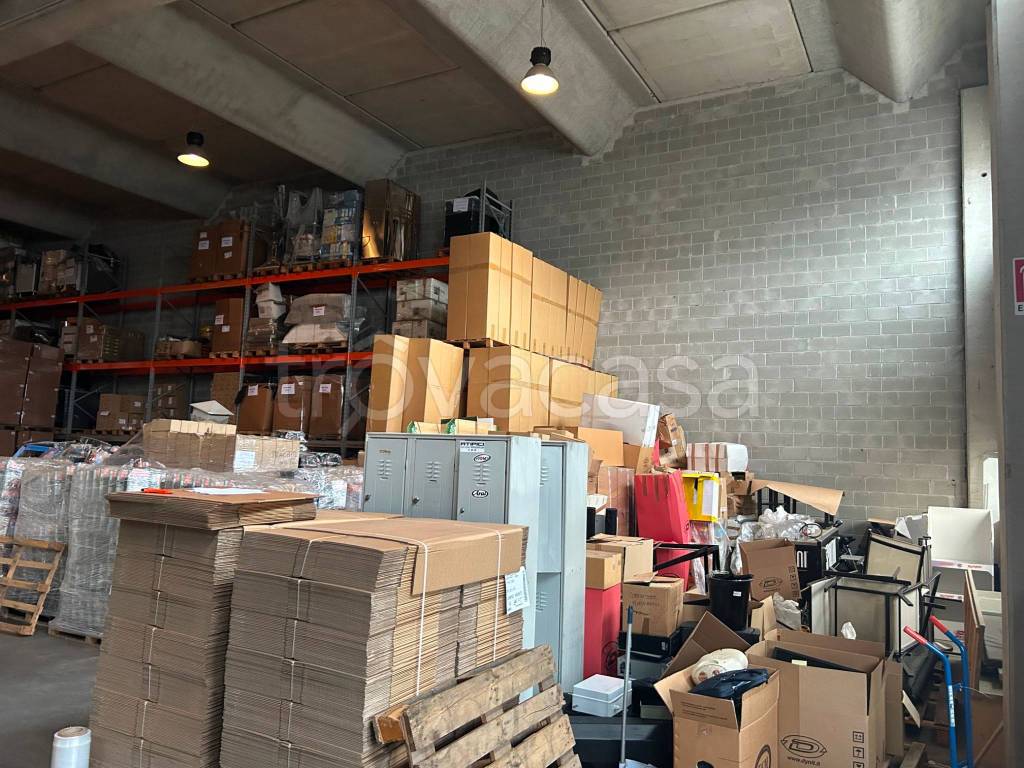 immagine annuncio 9 di 12