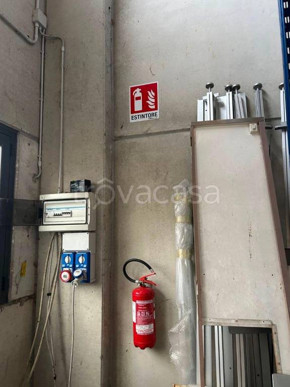 immagine annuncio 3 di 12