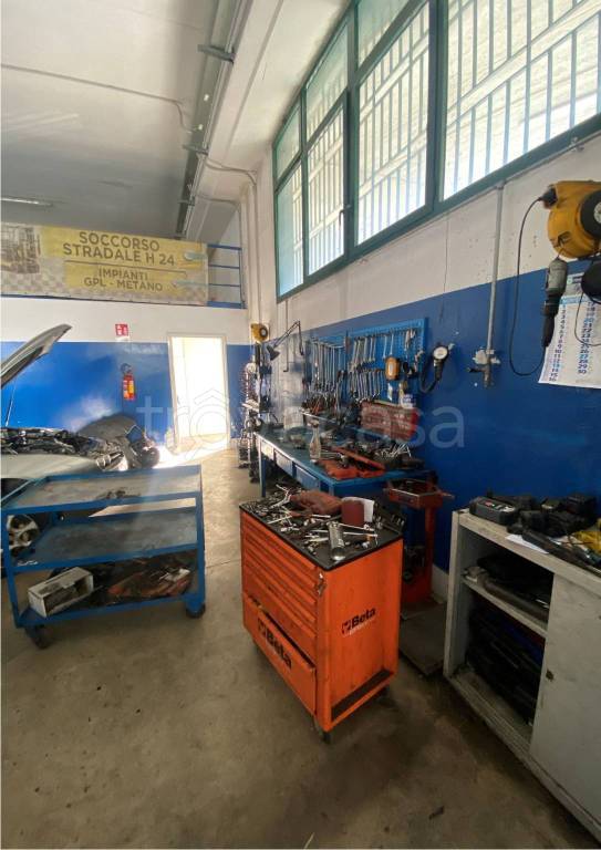 immagine annuncio 7 di 15