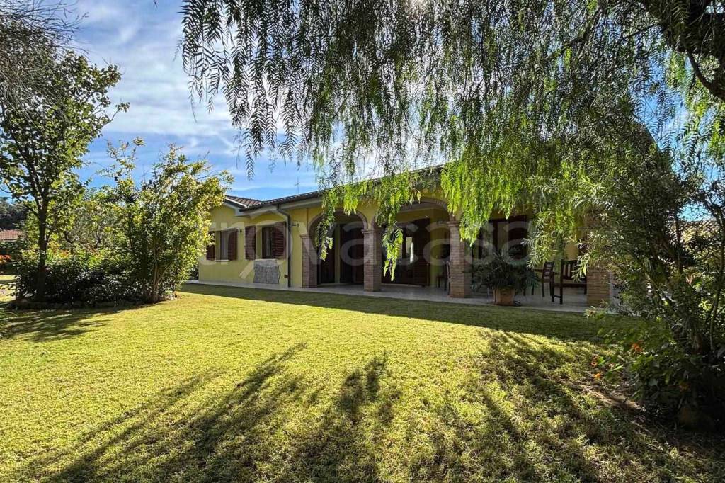 immagine annuncio 8 di 15