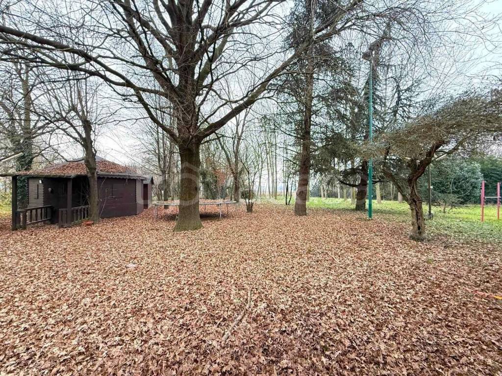 immagine annuncio 6 di 10