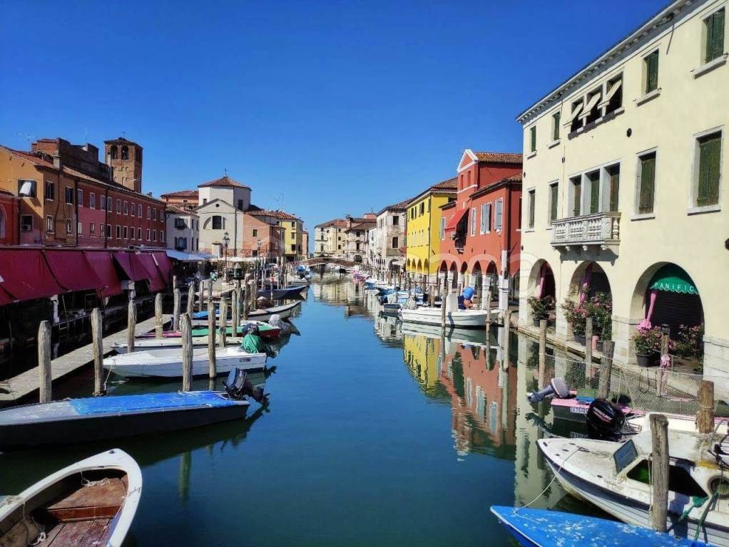 immagine annuncio 3 di 8