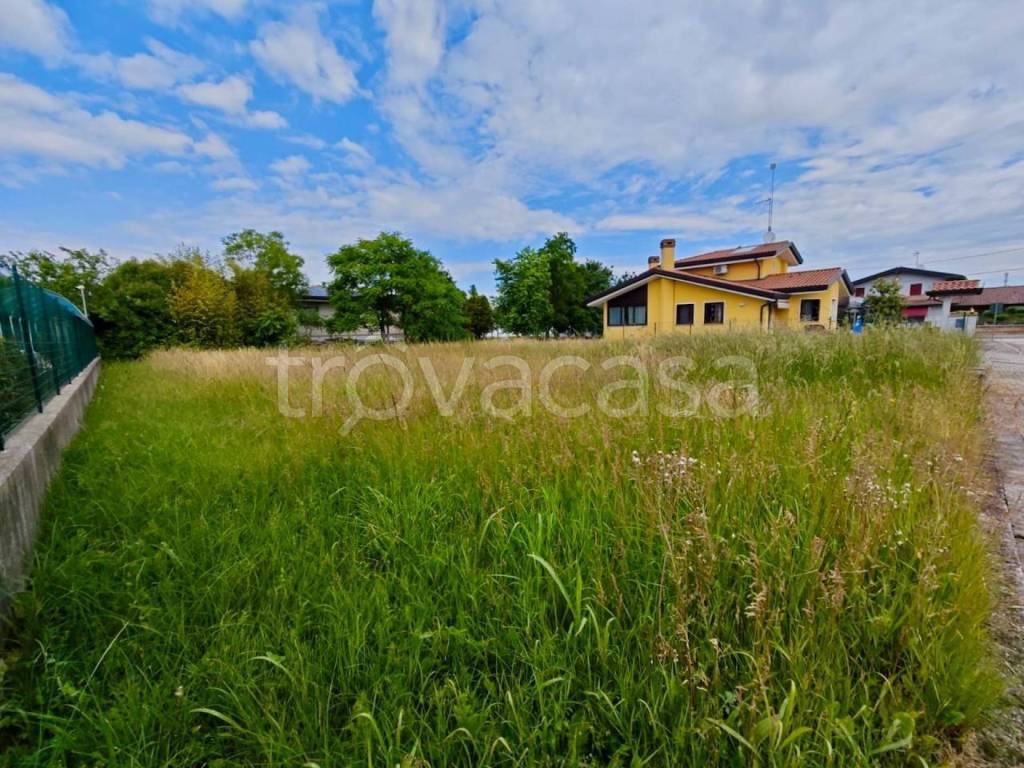 immagine annuncio 3 di 7