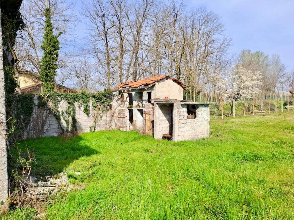 immagine annuncio 6 di 10