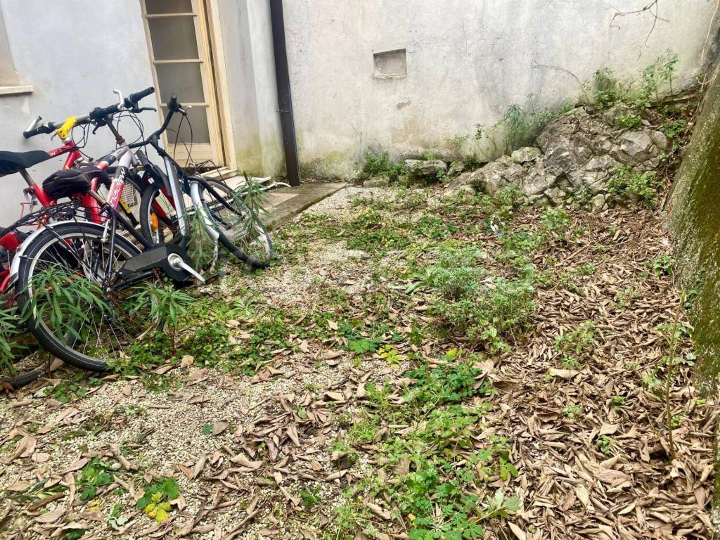 immagine annuncio 7 di 14