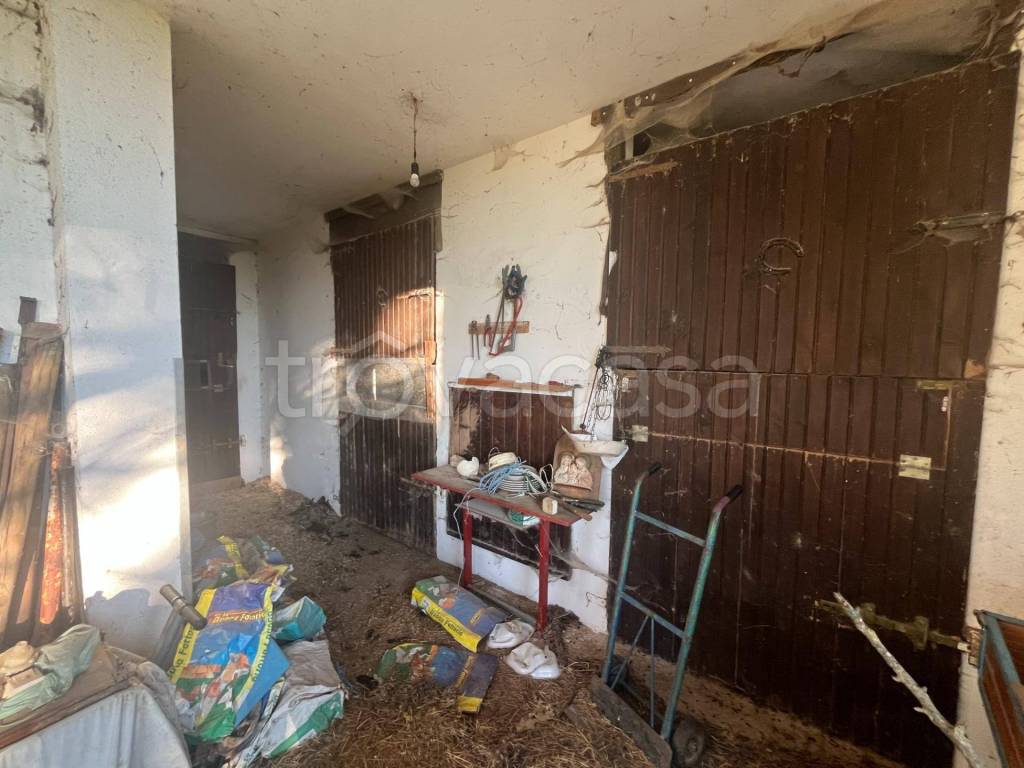 immagine annuncio 2 di 7